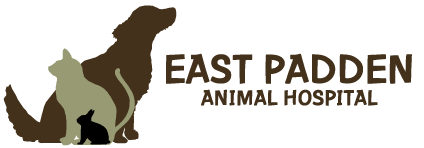 East Padden Animal Hospital Home